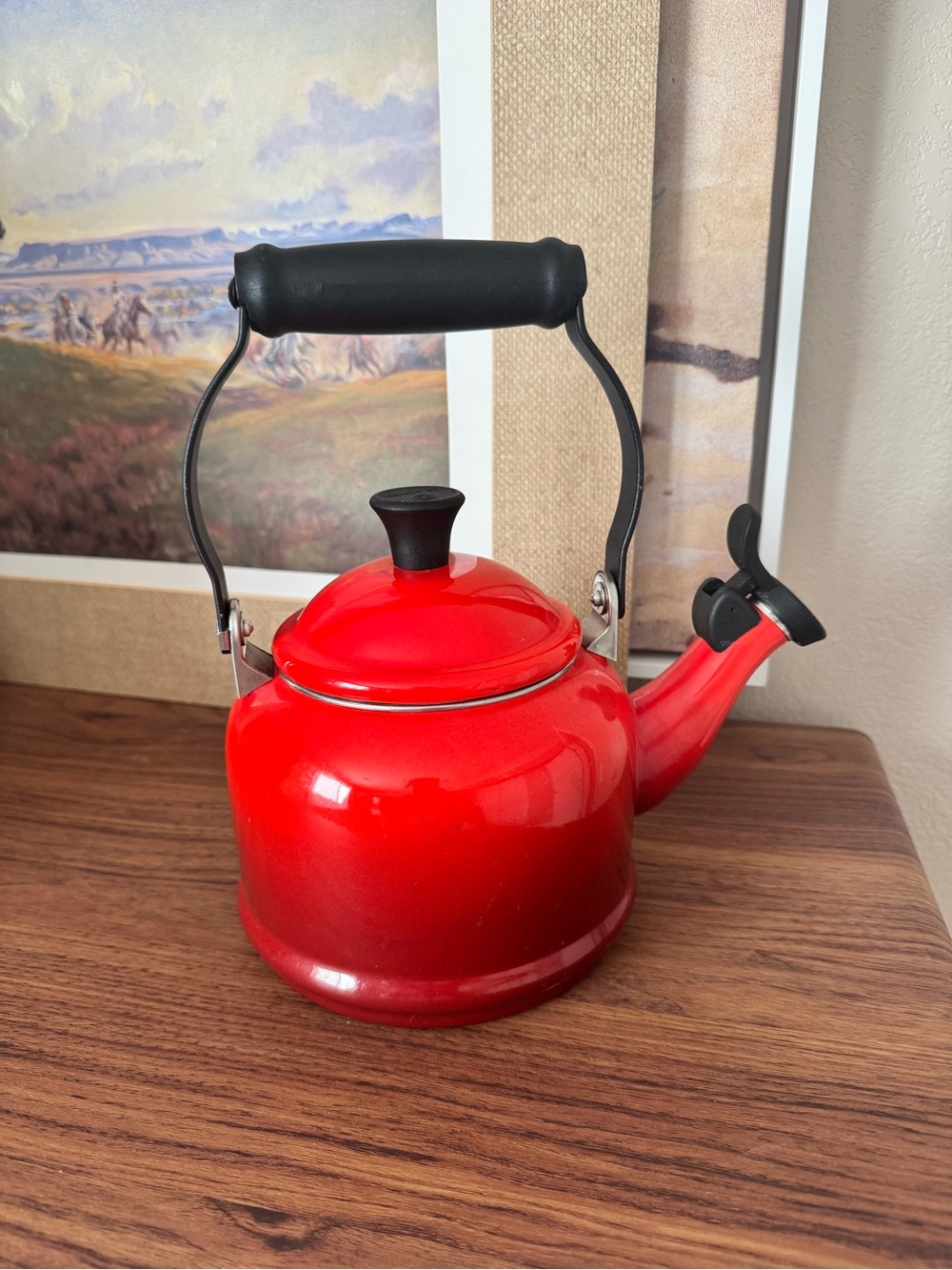 Le Creuset Tea Kettle in flame
